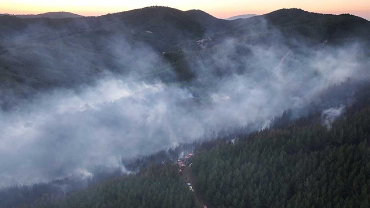 Bergama’daki ormanlık alanda çıkan yangına müdahale sürüyor